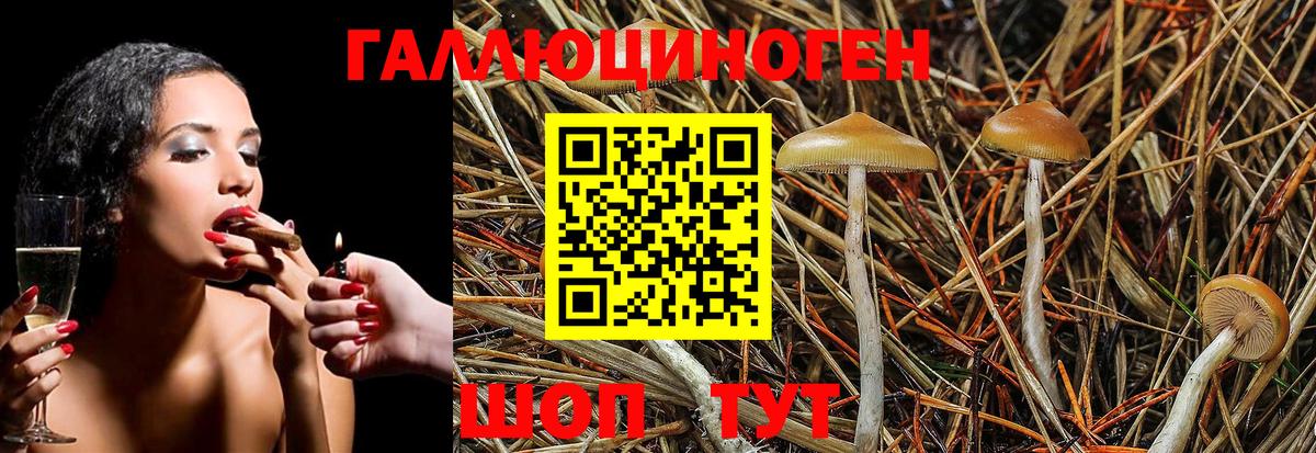 Ангарск  Галлюциногенные грибы MAGIC MUSHROOMS  продажа наркотиков  Вход с VPN 